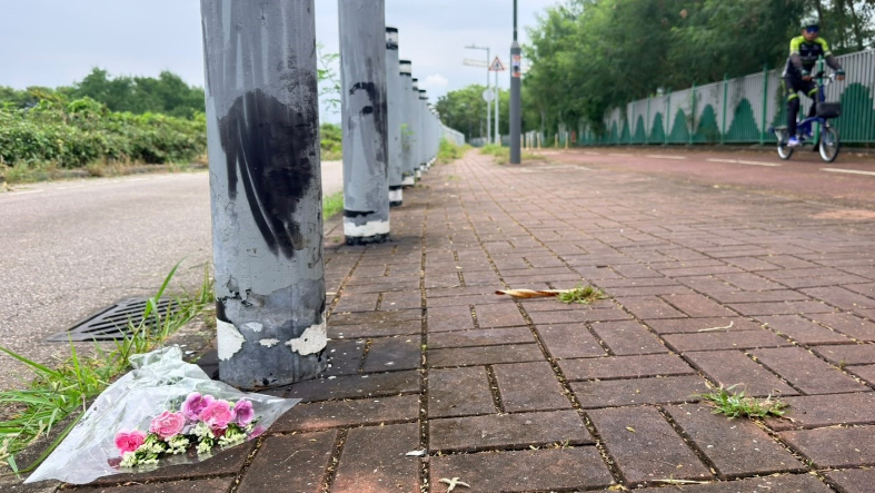 元朗狗咬死人│市民放鲜花悼念女死者，政府部门人员巡视现场环境