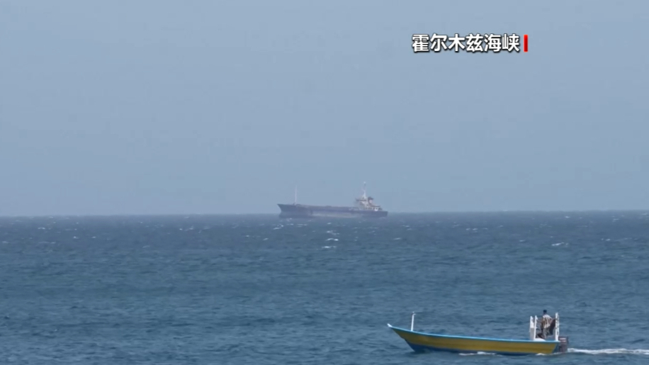 粮农组织：霍尔木兹海峡航运受阻影响全球粮食生产