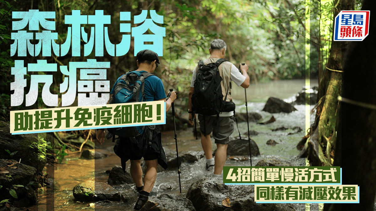 森林浴抗癌有助于提升免疫细胞！4种简单的慢生活方式同样有减压效果
