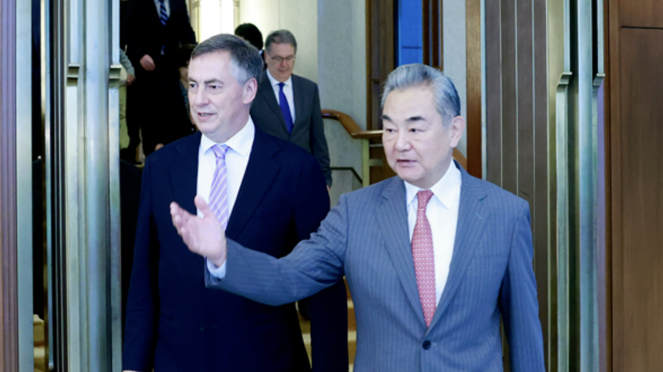 王毅会见欧洲议会外事委员会代表团