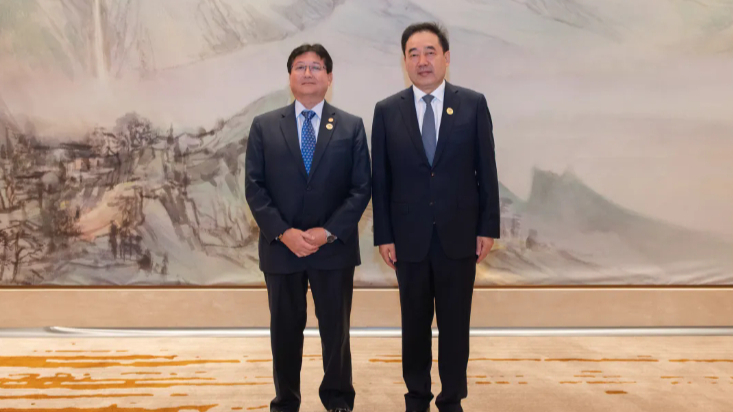 国家能源局主要负责人会见秘鲁能源和矿业部部长