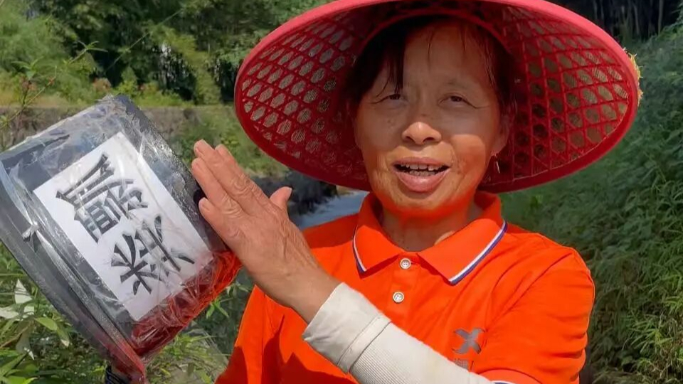 56岁景区“泼水阿姨”走红，挥粪瓢泼游客“有股熟悉的味道”