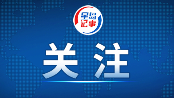 印度尼西亚总统普拉博沃会见王毅一行