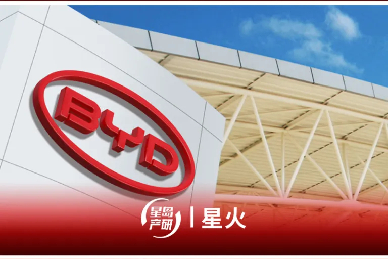 14份调研记录表背后，比亚迪在“密谋”什么？