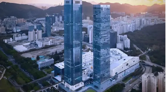 同泰系两基金中报曝光：超七成持有者近一年亏损