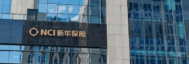 新华保险半年净赚超200亿：投资收益涨150%，银保NBV高增速不再
