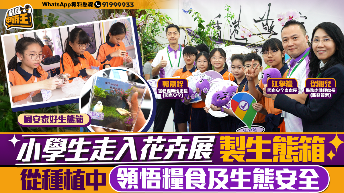 星岛申诉王 | 小学生走入花卉展制作生态箱，从种植中领悟粮食及生态安全