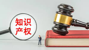 中国知识产权行政执法十大案例发布