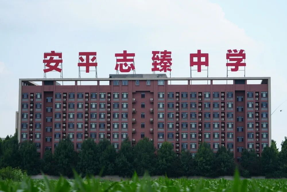 衡水通报：成立联合调查组，全面深入调查核查