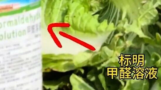 河北康保回应“白菜收购环节蘸取甲醛溶液”相关问题