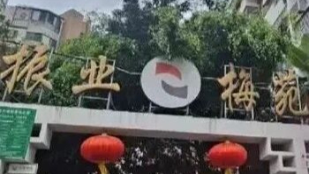 上半年亏损近亿！老牌国企深振业宣布：打包出售肉菜市场等多处自有物业，此前刚卖掉一间幼儿园
