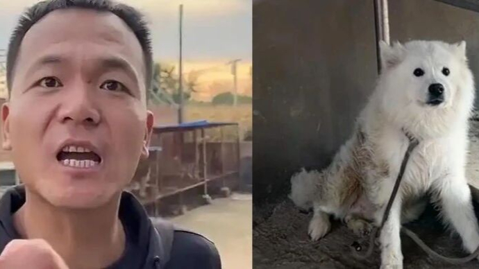 “小宝死亡案”终审宣判！训狗师潘宏败诉，被判公开道歉并赔偿11119元