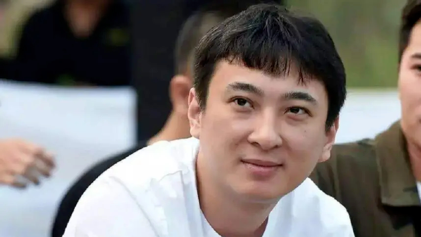王思聪卸任万达产业投资公司董事