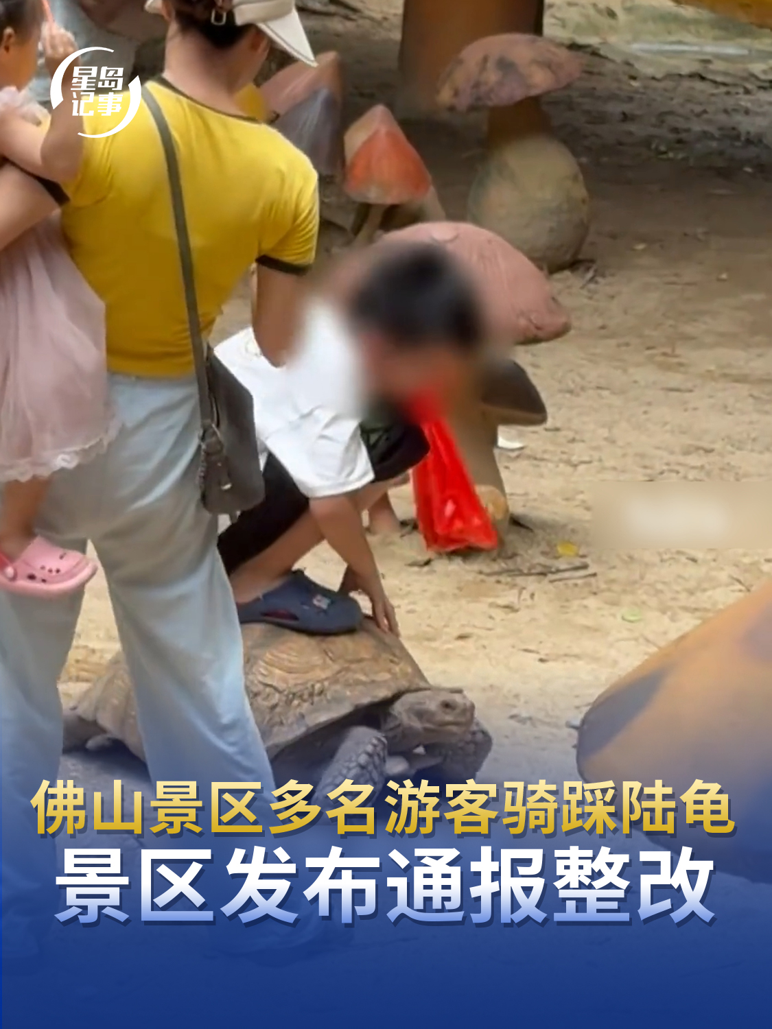 佛山景区多名游客骑踩陆龟，景区发布通报整改