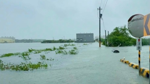 台湾8月大雨农业损失达600万新台币