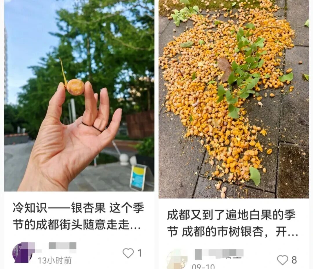 不要吃！不要捡！近期正大量出现
