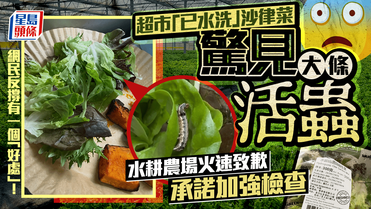 超市“已水洗”沙律菜惊见大条活虫 水耕农场火速致歉承诺加强检查 网民反撑有一个“好处”!