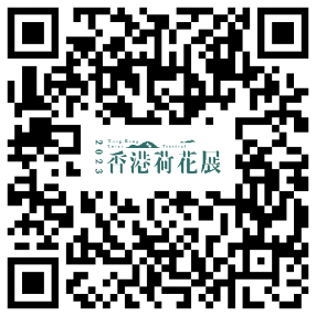 图片11 图片11