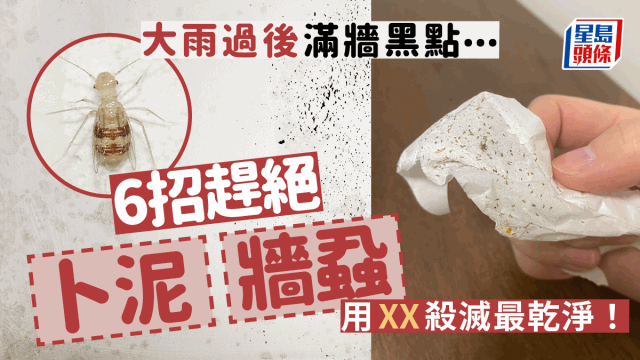 卜泥 卜泥