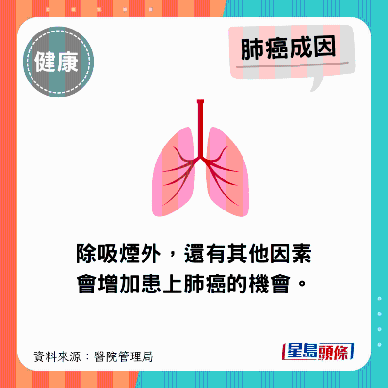 除吸烟外,还有其他因素会增加患上肺癌的机会。 除吸烟外,还有其他因素会增加患上肺癌的机会。