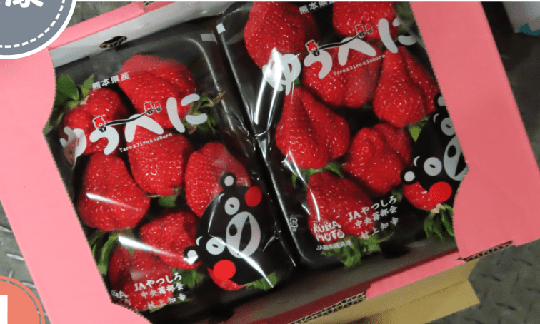制造厂或出口商: JAPAN INTER TRADING CO., LTD. 制造厂或出口商: JAPAN INTER TRADING CO., LTD.