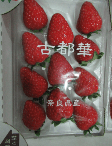 制造厂或出口商: EVERGREEN AUTO & METAL CO., LTD 制造厂或出口商: EVERGREEN AUTO & METAL CO., LTD
