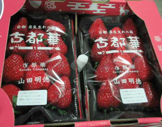 制造厂或出口商:YASHINOKI TRADING CO., LTD. 制造厂或出口商:YASHINOKI TRADING CO., LTD.