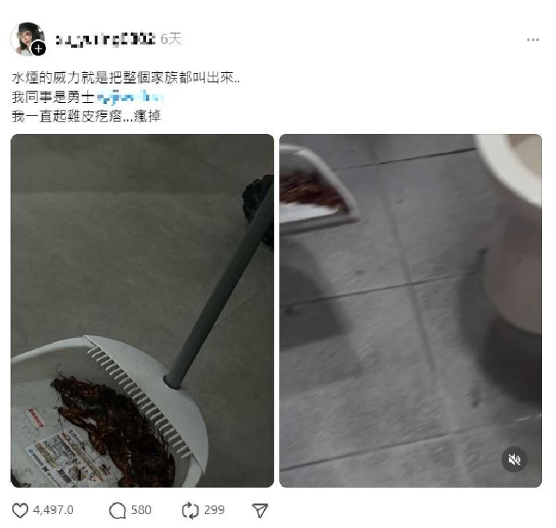 台女在Threads分享时,指自己杀蟑螂的方法是用“水烟”。 台女在Threads分享时,指自己杀蟑螂的方法是用“水烟”。