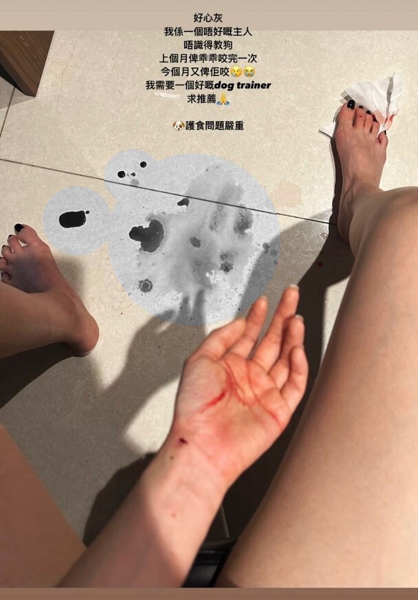 陈若思日前在IG限时动态上载多张相片 陈若思日前在IG限时动态上载多张相片