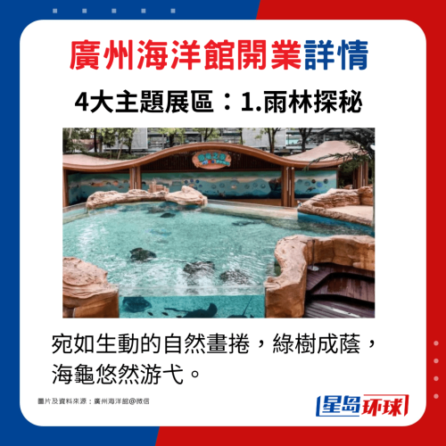 主题展区1.雨林探秘:宛如生动的自然画卷,绿树成荫,海龟悠然游弋。 主题展区1.雨林探秘:宛如生动的自然画卷,绿树成荫,海龟悠然游弋。