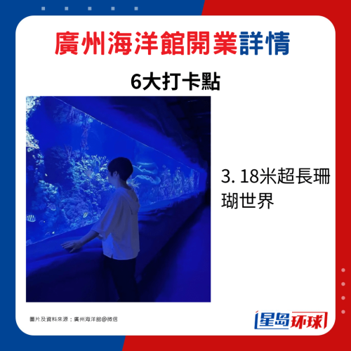 3. 18米超長珊瑚世界 3. 18米超長珊瑚世界
