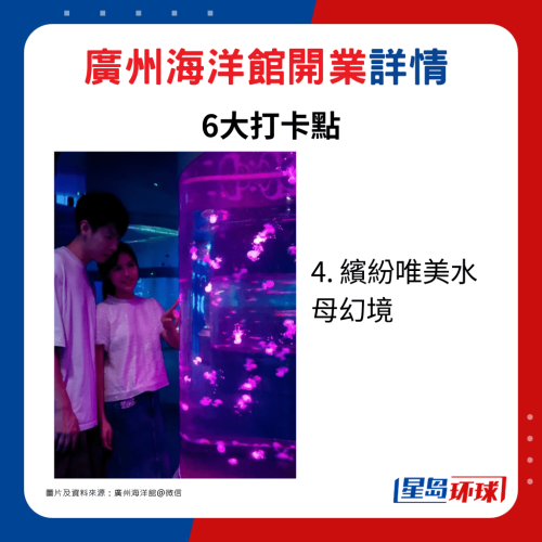 4. 缤纷唯美水母幻境 4. 缤纷唯美水母幻境