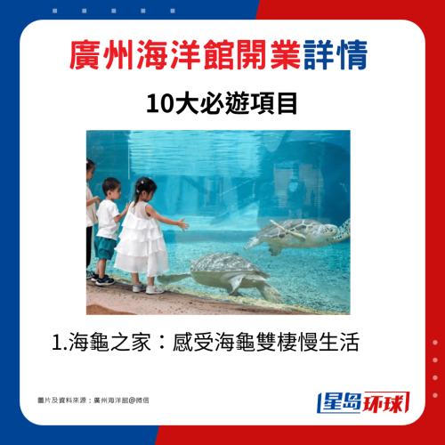 1.海龟之家:感受海龟双栖慢生活 1.海龟之家:感受海龟双栖慢生活