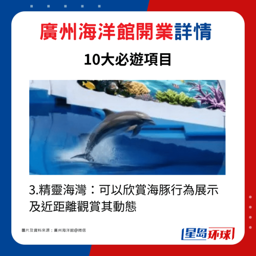 3.精灵海湾:可以欣赏海豚行为展示及近距离观赏其动态 3.精灵海湾:可以欣赏海豚行为展示及近距离观赏其动态