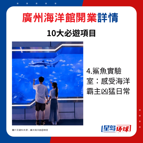 4.鲨鱼实验室:感受海洋霸主凶猛日常 4.鲨鱼实验室:感受海洋霸主凶猛日常