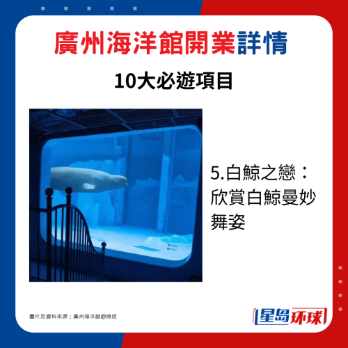 5.白鲸之恋: 欣赏白鲸曼妙舞姿 5.白鲸之恋: 欣赏白鲸曼妙舞姿