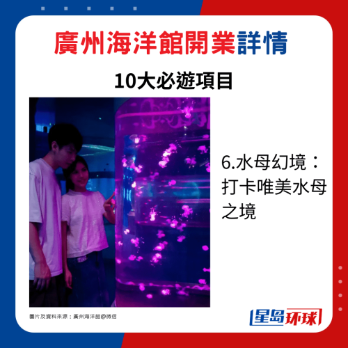 6.水母幻境: 打卡唯美水母之境 6.水母幻境: 打卡唯美水母之境