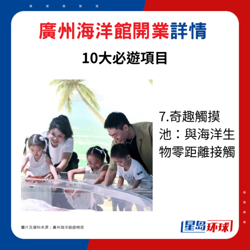 7.奇趣触摸池:与海洋生物零距离接触 7.奇趣触摸池:与海洋生物零距离接触