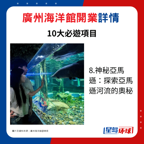 8.神秘亚马逊:探索亚马逊河流的奥秘 8.神秘亚马逊:探索亚马逊河流的奥秘