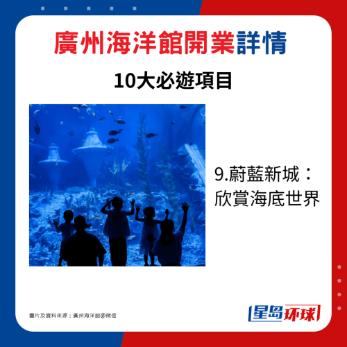 9.蔚蓝新城: 欣赏海底世界 9.蔚蓝新城: 欣赏海底世界