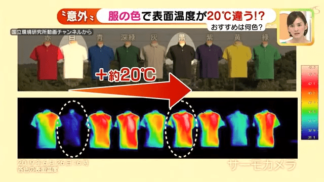 节目特别找到日本国立环境研究所 Toshiaki Ichinose作分析。 节目特别找到日本国立环境研究所 Toshiaki Ichinose作分析。