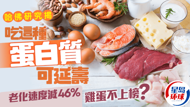 蛋白质延寿 蛋白质延寿