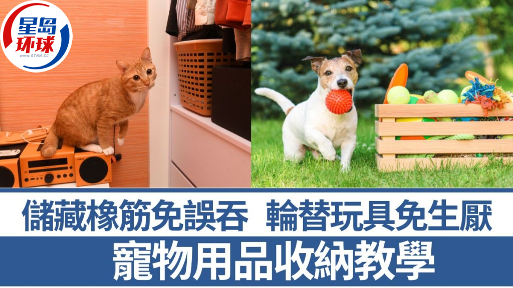 宠物用品收纳 宠物用品收纳