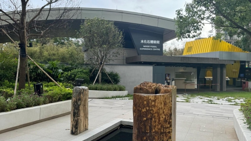 香港首个及唯一木化石公园(图片来源:《亲子王》) 香港首个及唯一木化石公园(图片来源:《亲子王》)