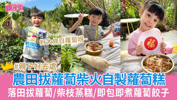 落田拔萝卜用柴火蒸萝卜糕