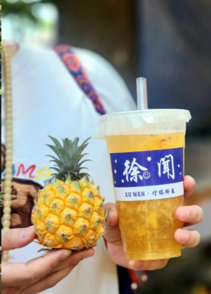 菠萝的海 菠萝的海
