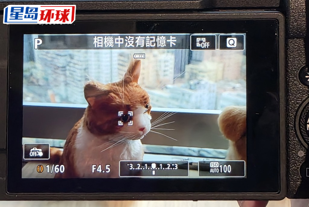 PowerShot V1支援自动侦测人、动物追踪对焦。 PowerShot V1支援自动侦测人、动物追踪对焦。