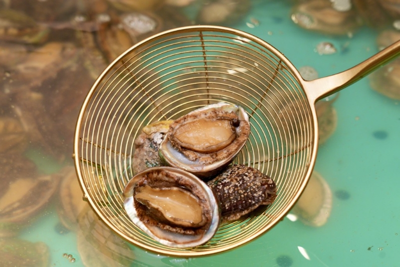 鲍鱼 鲍鱼