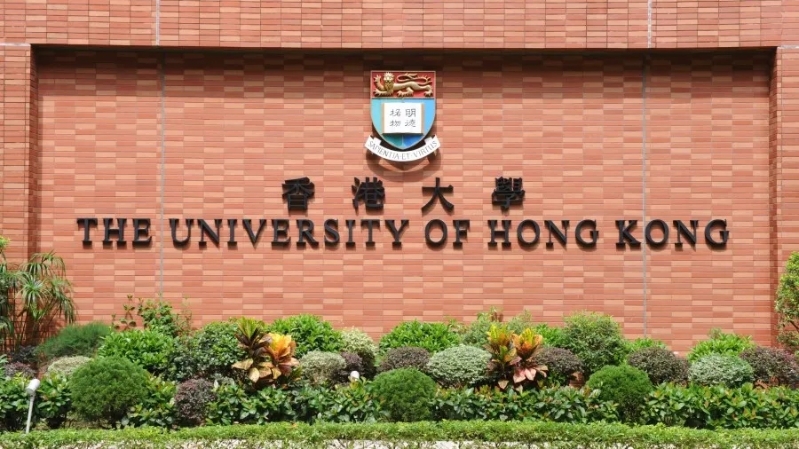 港大 港大