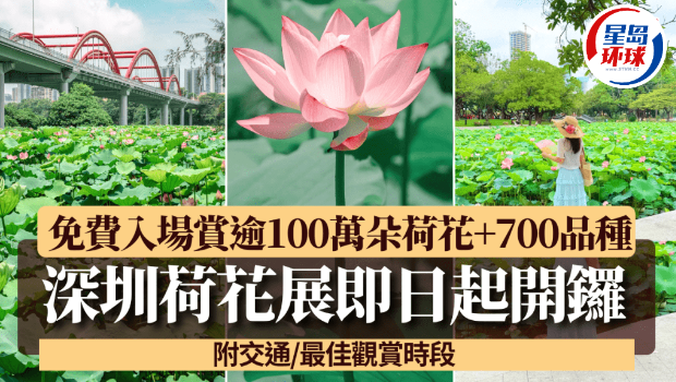 荷花展 荷花展